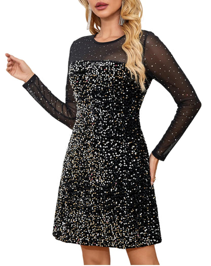 CARE LUCK Sheer Mesh Dress for Women Long Sleeve Sequin Party Dress Sparkly Evening Dress O Neck Sexy Mesh Dress