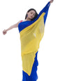 Alia bhatt wear Saree Rocky and rani movie saree celebraty inspired saree manish malhotra partywear Chiffon Fabric sari